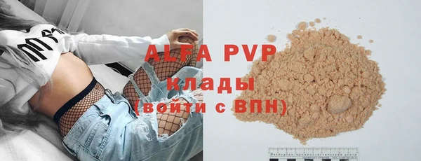 PSILOCYBIN Горнозаводск