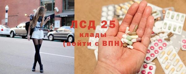PSILOCYBIN Горнозаводск