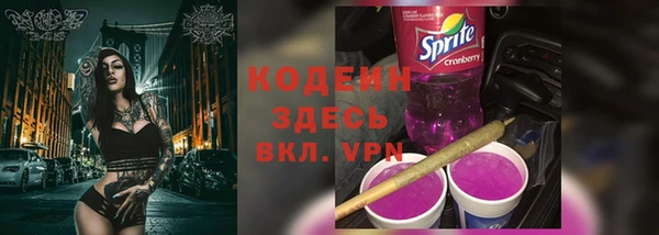 PSILOCYBIN Горнозаводск