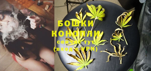 мяу мяу мука Горно-Алтайск