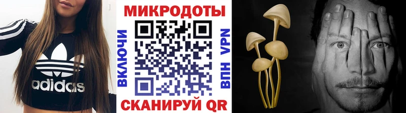 Псилоцибиновые грибы MAGIC MUSHROOMS  Купить  Шарья 