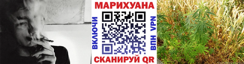 Купить закладки  Шарья  Шишки марихуана OG Kush 